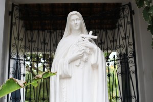 As I am the very first fellow of this term here, so I decided to look around the house, best time to take photos. There is absolutely nobody around. 