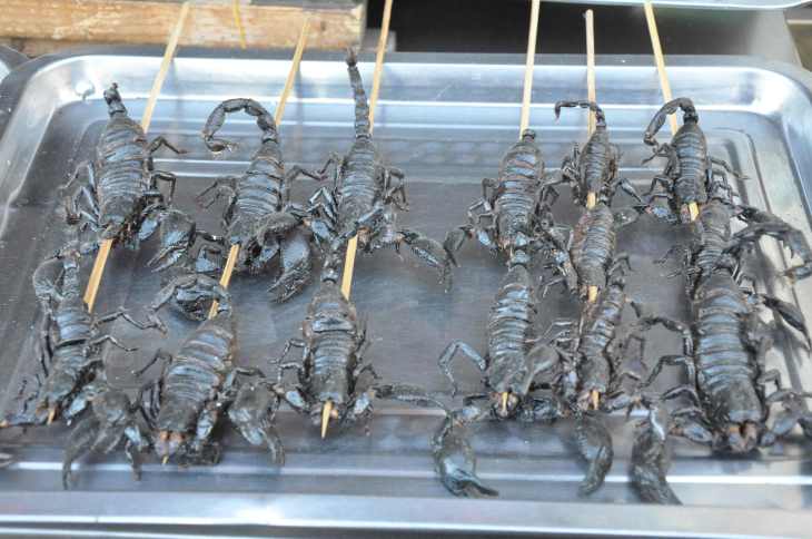 Scorpion-skewer