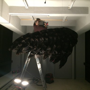 Setting up Démembrement