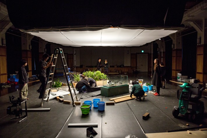 Earthquakes - shooting / Photos by Sho Fuji