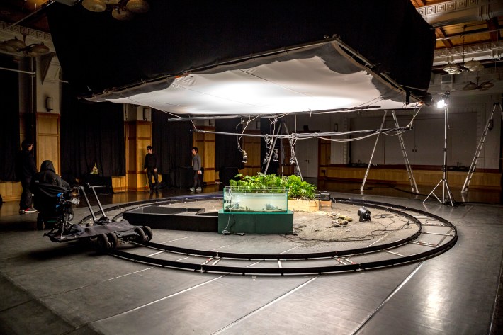 Earthquakes - shooting / Photo by Sho Fuji