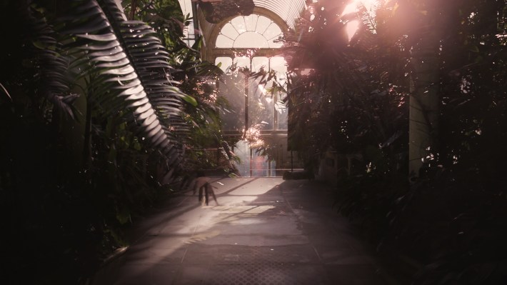 Still 2 - Palm house